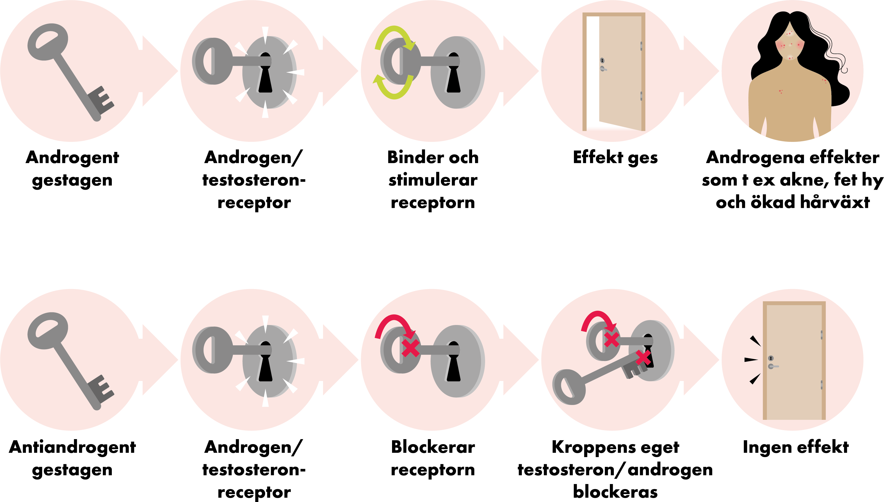 Bild: Gestageners effekter, jämförelse