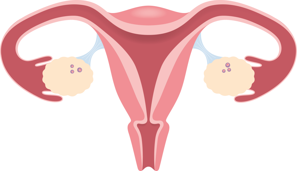 Bild: Små äggblåsor